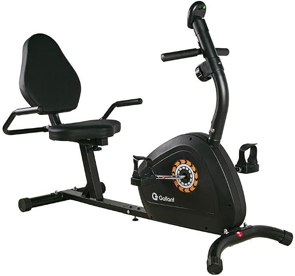 Gallant Elite X Bicicleta Ergométrica Magnética Horizontal GBEV1HMGB-PT